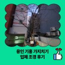 조경당 | 용인 기흥 가지치기 업체 조경 후기