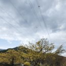 시목 마을회관 이미지