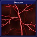 JB외과의원 이미지