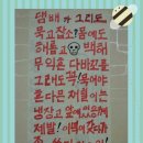 식후경돌산갓김치 이미지