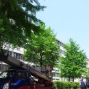 시영아파트(2차) 이미지