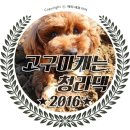 담비PC 이미지