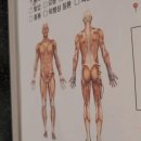 노원 헬스장 24시 헬스장 전문피트니스센터 스포애니