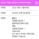 11월3일 jtbc마라톤 참가자조사 이미지