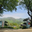 힐링마트 | 합천해피캠핑장 감성 캠핑 후기 | 자연 속 힐링 제대로