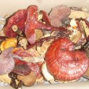 영지버섯[자연산] 배송완료 "영지버섯의 효능과 임상사례 보고자료" 이미지
