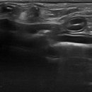 탄방메디칼 이미지