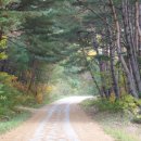 아라리게스트하우스 이미지