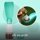 휴대용 접이식 4IN1 강아지 산책 물통, 2주 써보니 정말 편해요!