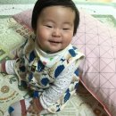 꼬노꼬노 이미지