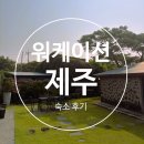빈티지제주 | 제주 워케이션 숙소 [빈티지제주] 후기｜돌담 감성숙소에서 나만의 공간을 누린 여름