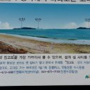 바람아래솔 이미지