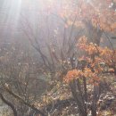 횡성 우천면사무소 이미지