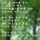 담양 만옹정 네이버블로그