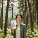 솔잎장식 | 솔잎 가루, 몰랐던/강원도 정선 솔잎의/놀라운 효능과/섭취 방법!