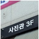 숲속에 아침 이미지