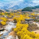 그루 조세일보