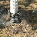 금월농장 이미지