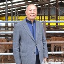 미우육종 이미지