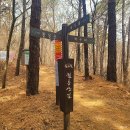 229-2-000081 | 서울근교 등산 추천 월롱산 초보 등산 코스 파주 데이트 나들이 후기