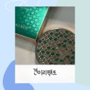 견미가 | 견미리팩트 역시 다르네! 쿨링감 워터프루프까지 업그레이드된 티니올 팩트 시즌2 솔직후기