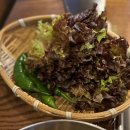 다올막창 네이버블로그