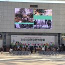 예온플라워