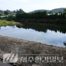 형치 이미지