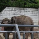 광주 우치공원 동물원 이미지