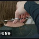 오즈펫살롱 이미지