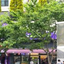 CU푸르지오 이미지