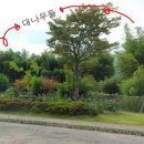 한국대나무박물관 이미지
