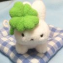 두부의 러브레터 🍀💌 #412 이미지