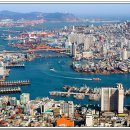 대광안전상사 이미지