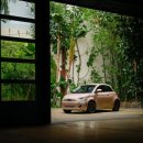 뷰티피아트(Beauty Fiat) 이미지