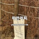 남원시립도서관 | [전북 남원] 미안커피 | 남원시립김병종미술관 여유로운 분위기 카페, 주차정보