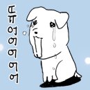 정든다방 | 화가 머리 끝까지 나네-화:159.8cm (12월)