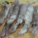 동해유통 네이버블로그