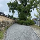 강남로(정상동) 이미지