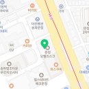 타이니퍼피 강아지분양 고양이분양 서울송파 이미지