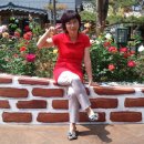 산양3리 이미지