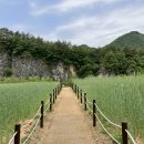 대촌마을(덕우리) 이미지