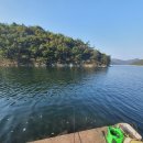 구산면942 이미지