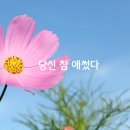 정동진역 이미지