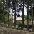 주식회사 어반트리건축사사무소 | 제주 웨딩 스튜디오 &#39;스튜디오 제라&#39;