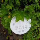 제주민박프리타타 이미지