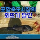 포항회센터
