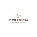 인천동물심장내과 이미지