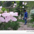가인농장 이미지