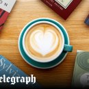 LOVELY DAY'S GROOMING 이미지